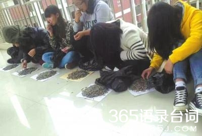 学生盘腿嗑瓜子图_365语录台词