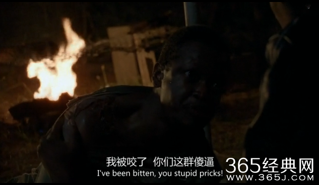 美剧行尸走肉第五季剧情介绍