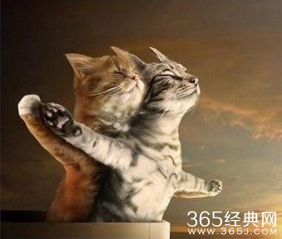 每日休闲时刻 风吹脸庞见冰霜