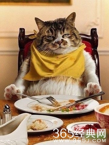 每日休闲时刻 风吹脸庞见冰霜