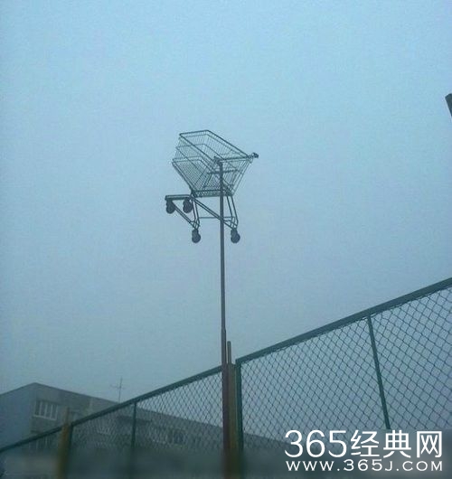 每日休闲时刻 风吹脸庞见冰霜