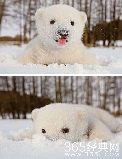 每日休闲时刻 不要小看人类的想象力