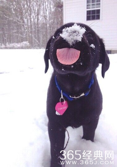 每日休闲时刻 不要小看人类的想象力