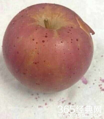 每日休闲时刻 不要小看人类的想象力