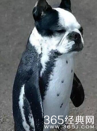 每日休闲时刻 不要小看人类的想象力