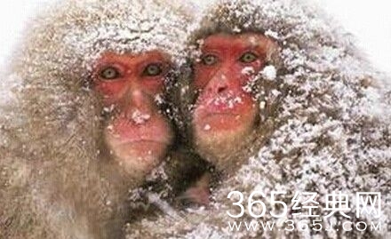 每日休闲时刻 不要小看人类的想象力