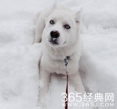 每日休闲时刻 不要小看人类的想象力