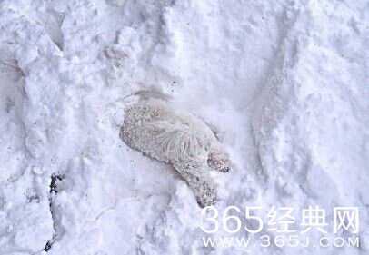 每日休闲时刻 不要小看人类的想象力