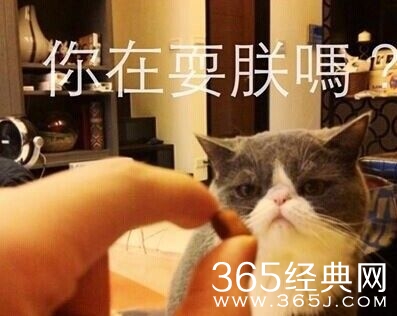 每日休闲时刻 不要小看人类的想象力