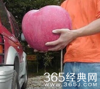 每日休闲时刻 不要小看人类的想象力