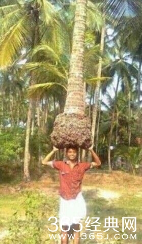 每日休闲时刻 现实是残酷的