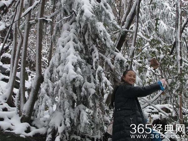 “武当妹妹”走红图片