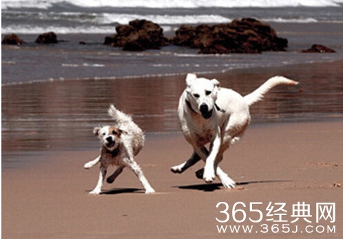 99%聪明人都答错，你会几题？