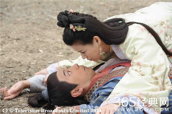 醋娘子角色介绍封面图