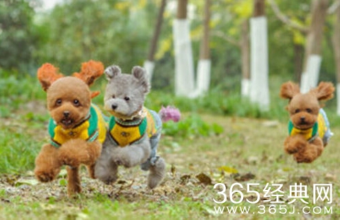 99%聪明人都答错，你会几题？