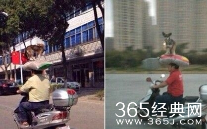 每日休闲时刻 现实是残酷的