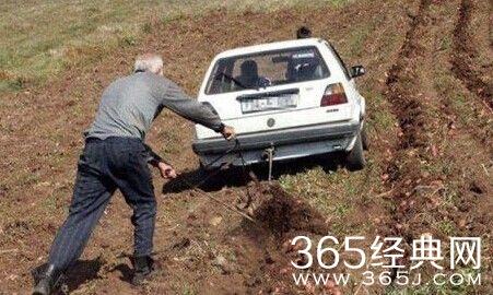 每日休闲时刻 现实是残酷的