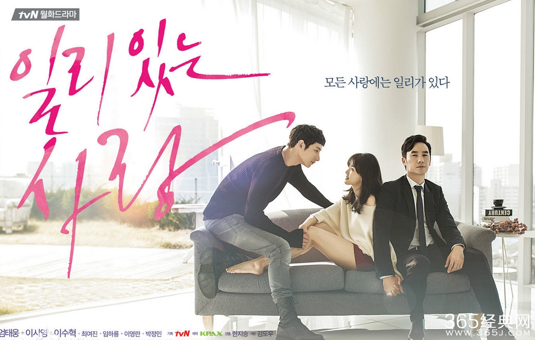 有道理的爱情剧情介绍