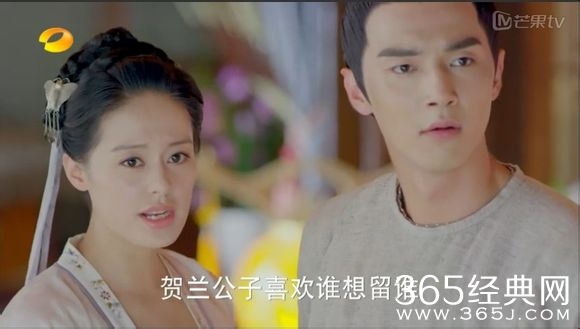 美人制造关于贺兰钧和苏莲衣的故事大汇总