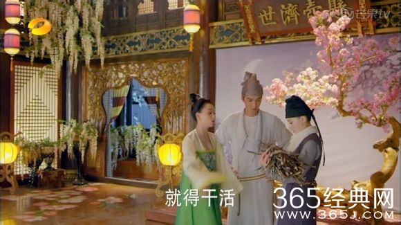 美人制造关于贺兰钧和苏莲衣的故事大汇总