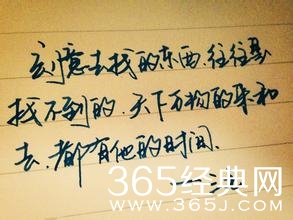 最新100句三毛经典语录：爱是恒久忍耐而又有恩慈