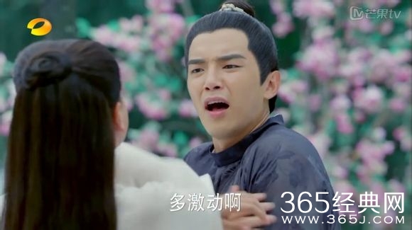 美人制造关于贺兰钧和苏莲衣的故事大汇总