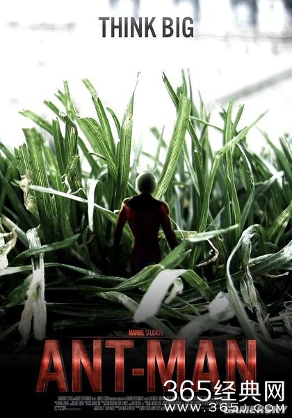 2015年好莱坞电影上映时间预告