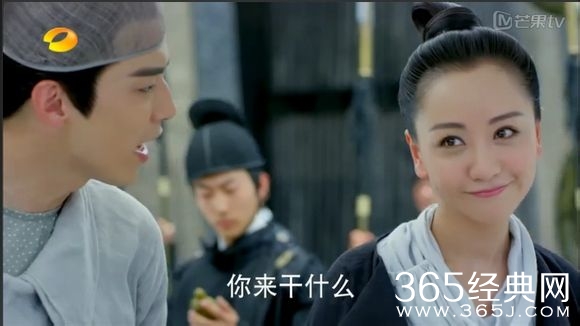 美人制造关于贺兰钧和苏莲衣的故事大汇总