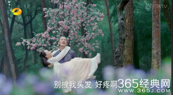 美人制造关于贺兰钧和苏莲衣的故事大汇总