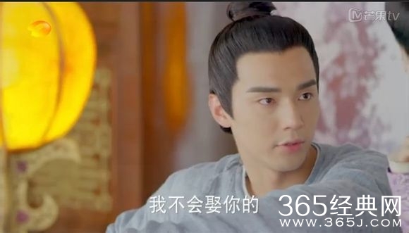 美人制造关于贺兰钧和苏莲衣的故事大汇总