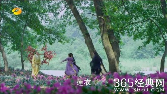 美人制造关于贺兰钧和苏莲衣的故事大汇总