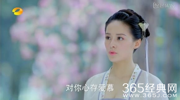 美人制造关于贺兰钧和苏莲衣的故事大汇总