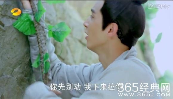 美人制造关于贺兰钧和苏莲衣的故事大汇总