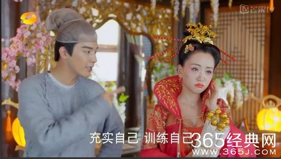 美人制造关于贺兰钧和苏莲衣的故事大汇总