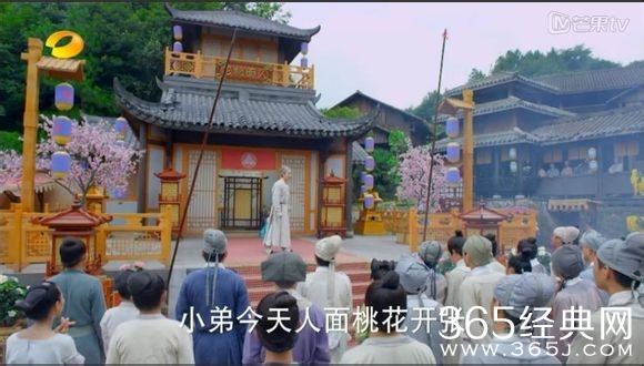 美人制造关于贺兰钧和苏莲衣的故事大汇总