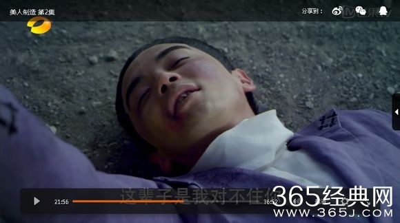 美人制造关于贺兰钧和苏莲衣的故事大汇总