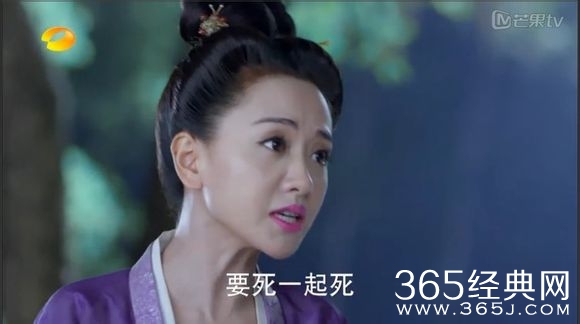 美人制造关于贺兰钧和苏莲衣的故事大汇总