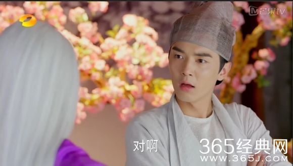 美人制造关于贺兰钧和苏莲衣的故事大汇总