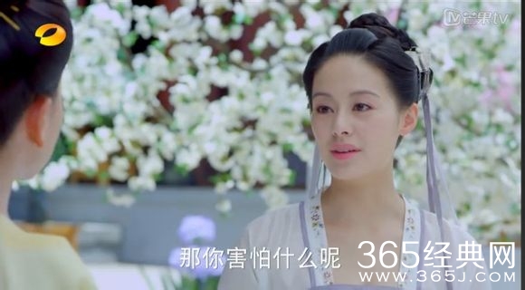 美人制造关于贺兰钧和苏莲衣的故事大汇总