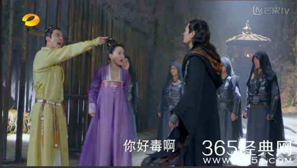 美人制造关于贺兰钧和苏莲衣的故事大汇总