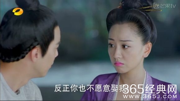 美人制造关于贺兰钧和苏莲衣的故事大汇总