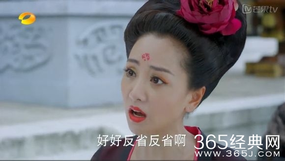 美人制造关于贺兰钧和苏莲衣的故事大汇总