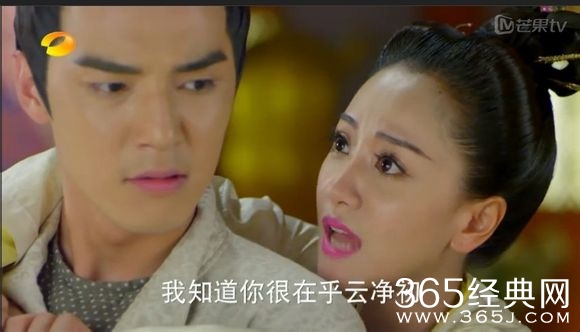 美人制造关于贺兰钧和苏莲衣的故事大汇总