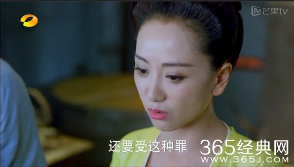 美人制造关于贺兰钧和苏莲衣的故事大汇总