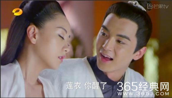 美人制造关于贺兰钧和苏莲衣的故事大汇总