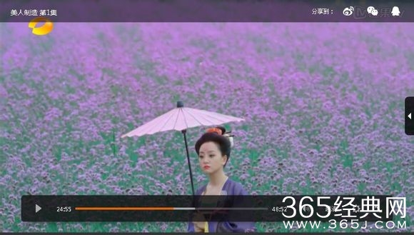 美人制造关于贺兰钧和苏莲衣的故事大汇总