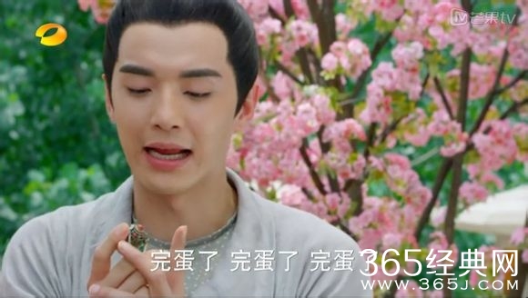 美人制造关于贺兰钧和苏莲衣的故事大汇总