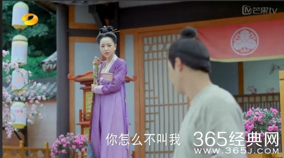 美人制造关于贺兰钧和苏莲衣的故事大汇总