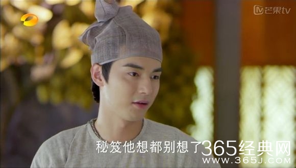 美人制造关于贺兰钧和苏莲衣的故事大汇总