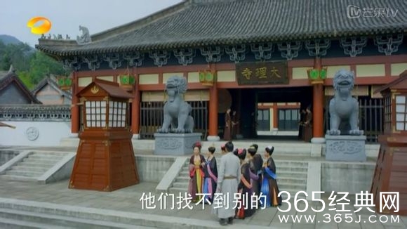 美人制造关于贺兰钧和苏莲衣的故事大汇总